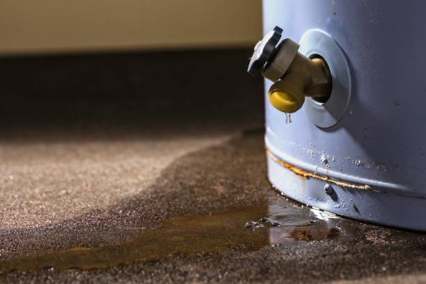 Best Basement water damage restoration  in Speer, NC