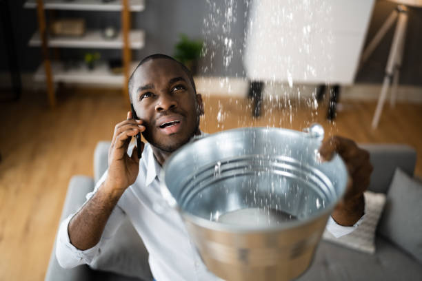 Best Local water damage restoration  in Speer, NC