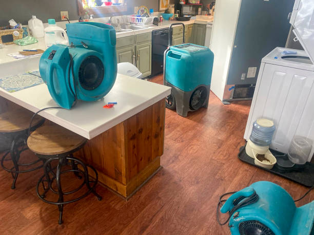 Best Water damage contractors near me  in Speer, NC
