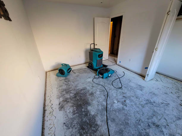 Best Carpet water damage restoration  in Speer, NC