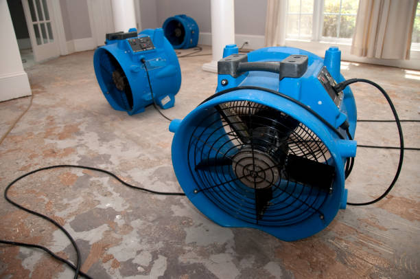 Best Mold removal after water damage  in Speer, NC