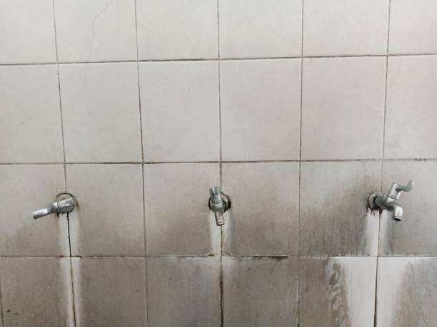  Speer, NC Water damage restoration Pros