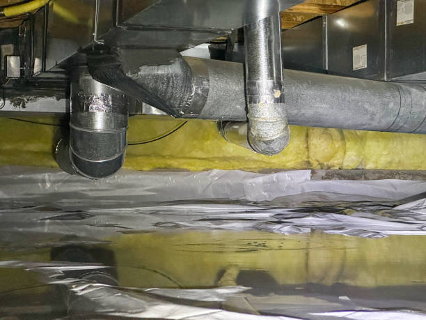 Best Carpet water damage restoration  in Speer, NC